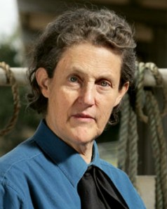 See Dr Temple Grandin's discussion about sensory issues in autism.